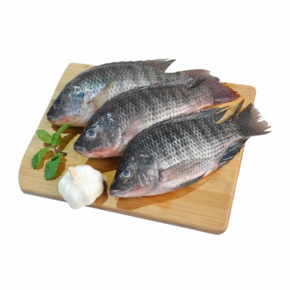 Telapiya Fish ±50 gm