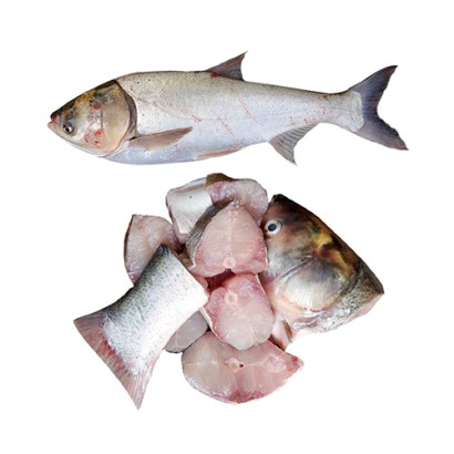 Silver Carp Fish (1.3-1.5kg)