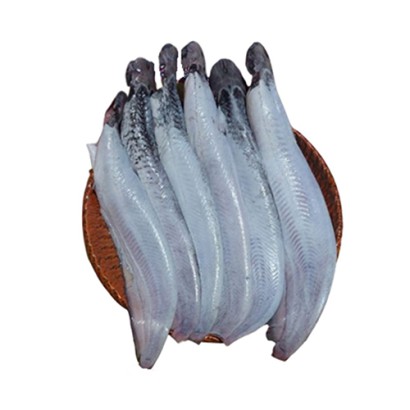 Shing Fish Large (8-12 pcs) ±40gm