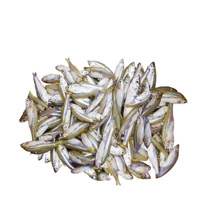 Mola Fish (M) ±30gm