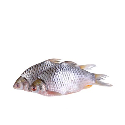 Deshi Sarputi Fish ±30 gm