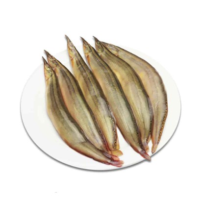 Chikra Baim Fish