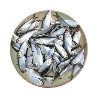 Chapila Fish Processed ±25gm