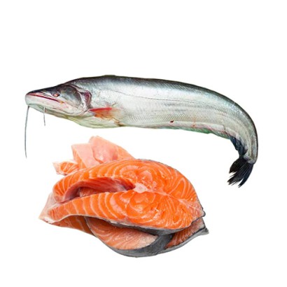Boal Fish  (1.7-2.0kg ) - per kg