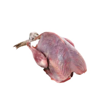Pigeon Meat