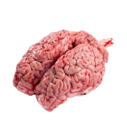 Beef Brain (Mogoz)