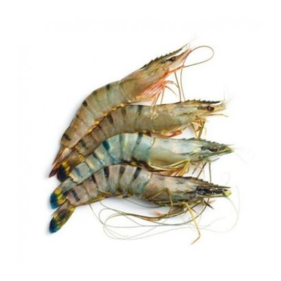 Bagda Chingri (Shrimp) 30-35 pcs ±50 gm