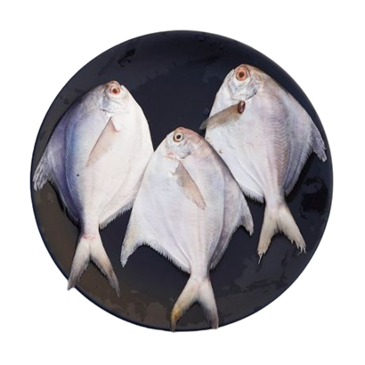 Rupchanda Fish (8-10 pcs)