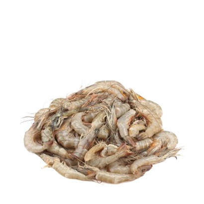 Horina Chingri (Shrimp)  ±50gm