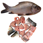 Katla Fish (Size: 1.5kg-1.8 kg) ±70 gm
