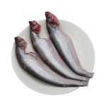 Pabda Fish Medium (With Head) ±50 gm