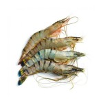 Bagda Chingri (Shrimp) 30-35 pcs ±50 gm