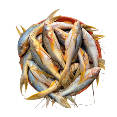 River Topshe Fish