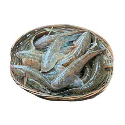 River Bele Fish Medium