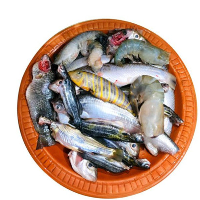 Panchmishali Fish ±50 gm