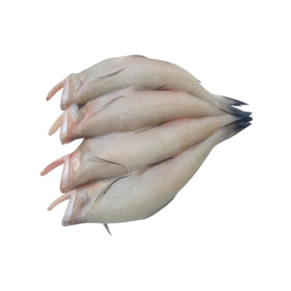 Loitta Fish