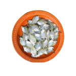Chanda Fish ( Deshi )