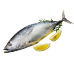 Tuna Fish Whole (Size: 1.5kg-3g) per kg