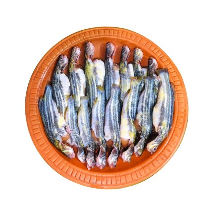 Tengra Fish ±20 gm