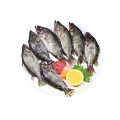Meni Fish