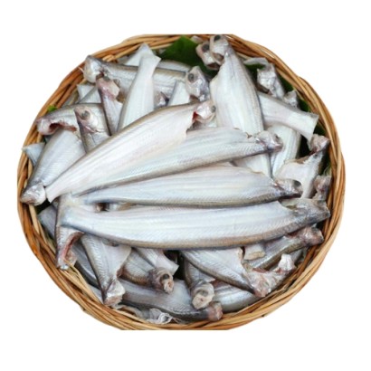 Kajoli Fish  ±50 gm