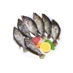 Meni Fish