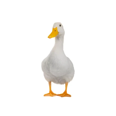 Beijing Duck (বেইজিং হাঁস) Size-1.5-2kg